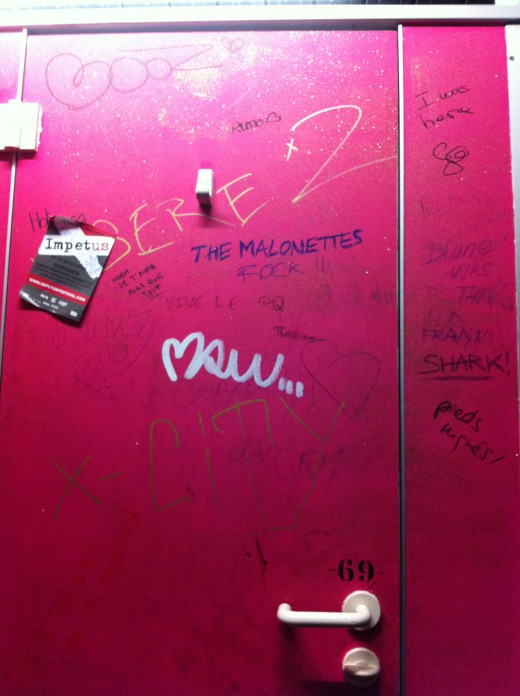 pink toiletdoor inspires me!